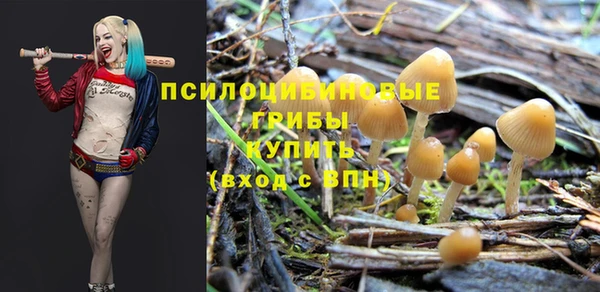 трава Протвино
