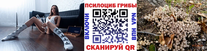 Галлюциногенные грибы Psilocybe Омутнинск